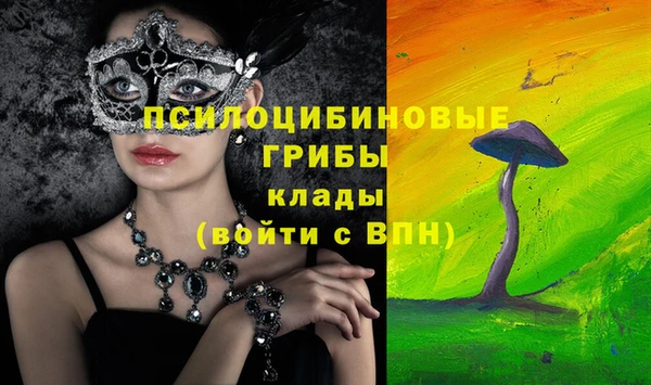амф Аркадак