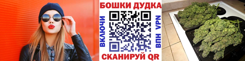 Купить закладки  Новоалтайск  Канабис White Widow 